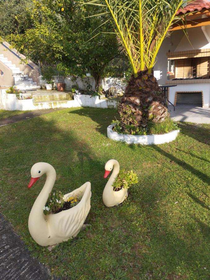 Mιχαλης Apartments Paramythia Ngoại thất bức ảnh